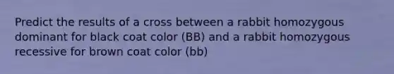 Predict the results of a cross between a rabbit homozygous dominant for black coat color (BB) and a rabbit homozygous recessive for brown coat color (bb)