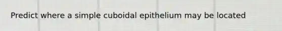 Predict where a simple cuboidal epithelium may be located