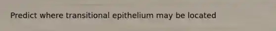 Predict where transitional epithelium may be located