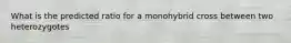 What is the predicted ratio for a monohybrid cross between two heterozygotes