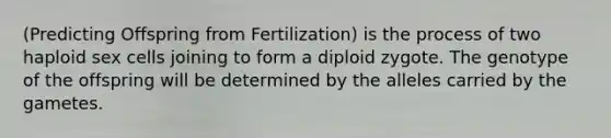 (Predicting Offspring from Fertilization) is the process of two haploid sex cells joining to form a diploid zygote. The genotype of the offspring will be determined by the alleles carried by the gametes.