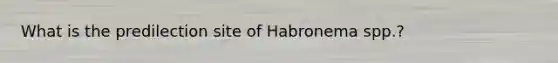 What is the predilection site of Habronema spp.?