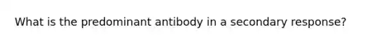 What is the predominant antibody in a secondary response?