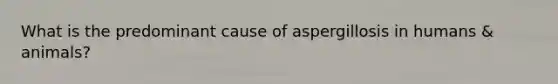 What is the predominant cause of aspergillosis in humans & animals?