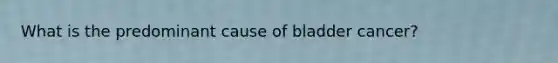 What is the predominant cause of bladder cancer?