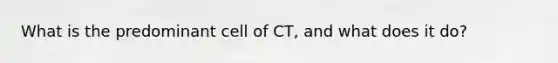 What is the predominant cell of CT, and what does it do?