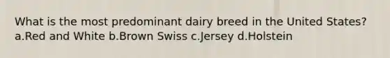 What is the most predominant dairy breed in the United States? a.Red and White b.Brown Swiss c.Jersey d.Holstein