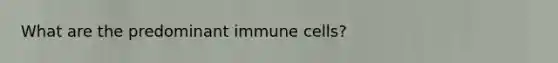 What are the predominant immune cells?