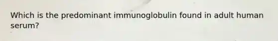 Which is the predominant immunoglobulin found in adult human serum?