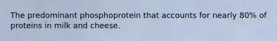 The predominant phosphoprotein that accounts for nearly 80% of proteins in milk and cheese.