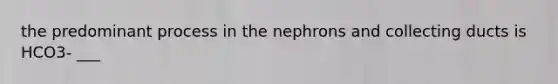 the predominant process in the nephrons and collecting ducts is HCO3- ___