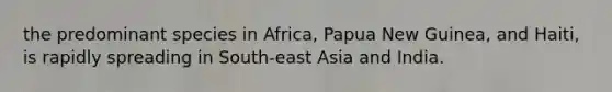 the predominant species in Africa, Papua New Guinea, and Haiti, is rapidly spreading in South-east Asia and India.