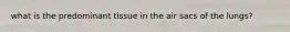 what is the predominant tissue in the air sacs of the lungs?