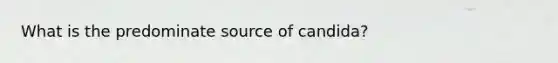 What is the predominate source of candida?