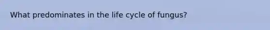 What predominates in the life cycle of fungus?