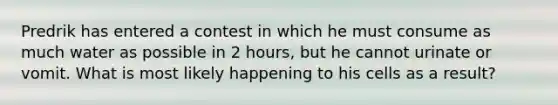 Predrik has entered a contest in which he must consume as much water as possible in 2 hours, but he cannot urinate or vomit. What is most likely happening to his cells as a result?