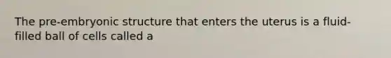 The pre-embryonic structure that enters the uterus is a fluid-filled ball of cells called a