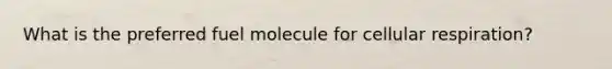 What is the preferred fuel molecule for cellular respiration?