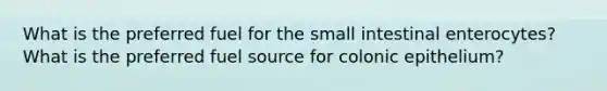 What is the preferred fuel for the small intestinal enterocytes? What is the preferred fuel source for colonic epithelium?