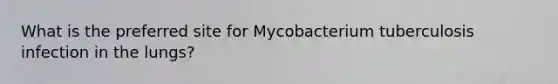 What is the preferred site for Mycobacterium tuberculosis infection in the lungs?