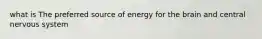 what is The preferred source of energy for the brain and central nervous system