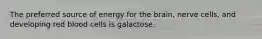 The preferred source of energy for the brain, nerve cells, and developing red blood cells is galactose.