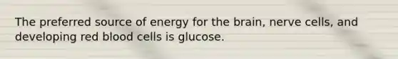 The preferred source of energy for the brain, nerve cells, and developing red blood cells is glucose.