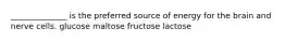 ______________ is the preferred source of energy for the brain and nerve cells. glucose maltose fructose lactose