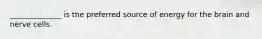 ______________ is the preferred source of energy for the brain and nerve cells.