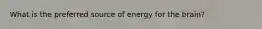 What is the preferred source of energy for the brain?