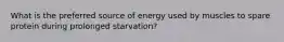 What is the preferred source of energy used by muscles to spare protein during prolonged starvation?