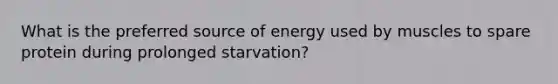 What is the preferred source of energy used by muscles to spare protein during prolonged starvation?