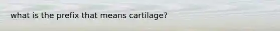 what is the prefix that means cartilage?