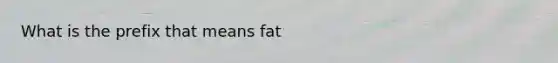 What is the prefix that means fat