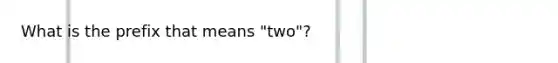 What is the prefix that means "two"?