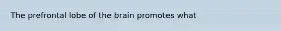 The prefrontal lobe of the brain promotes what