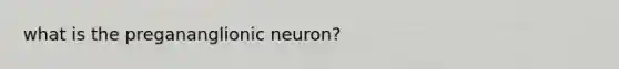 what is the pregananglionic neuron?