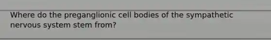 Where do the preganglionic cell bodies of the sympathetic nervous system stem from?