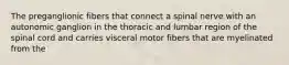 The preganglionic fibers that connect a spinal nerve with an autonomic ganglion in the thoracic and lumbar region of the spinal cord and carries visceral motor fibers that are myelinated from the