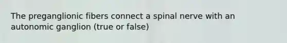 The preganglionic fibers connect a spinal nerve with an autonomic ganglion (true or false)