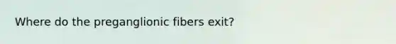 Where do the preganglionic fibers exit?