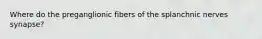 Where do the preganglionic fibers of the splanchnic nerves synapse?