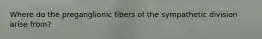 Where do the preganglionic fibers of the sympathetic division arise from?