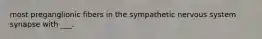 most preganglionic fibers in the sympathetic nervous system synapse with ___.