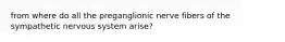 from where do all the preganglionic nerve fibers of the sympathetic nervous system arise?