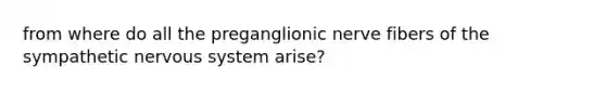 from where do all the preganglionic nerve fibers of the sympathetic nervous system arise?