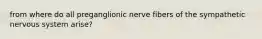 from where do all preganglionic nerve fibers of the sympathetic nervous system arise?