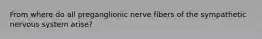 From where do all preganglionic nerve fibers of the sympathetic nervous system arise?