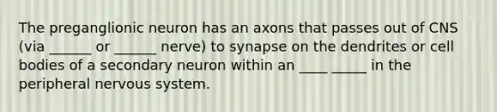 The preganglionic neuron has an axons that passes out of CNS (via ______ or ______ nerve) to synapse on the dendrites or cell bodies of a secondary neuron within an ____ _____ in the peripheral nervous system.