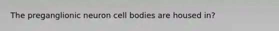 The preganglionic neuron cell bodies are housed in?